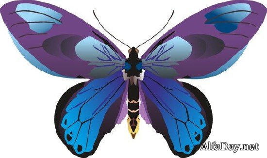 �������� ������� � �������� (�������� ��������� ���������)