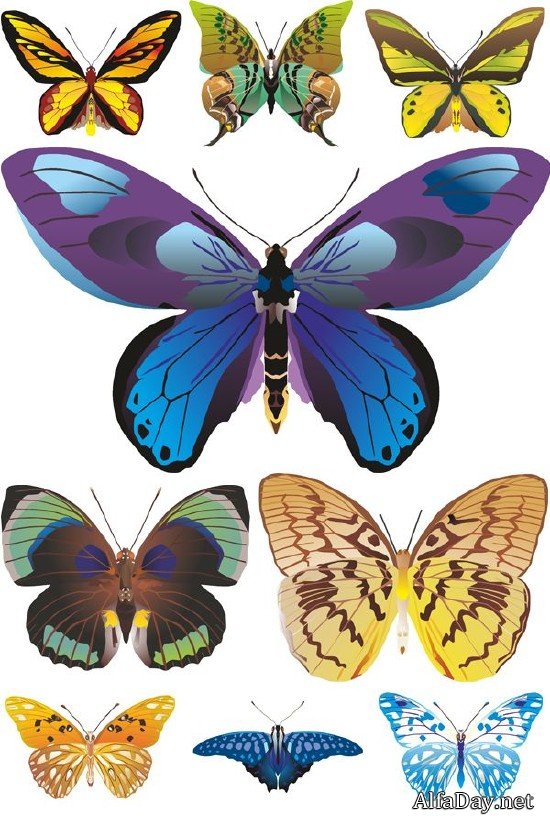 �������� ������� � �������� (�������� ��������� ���������)