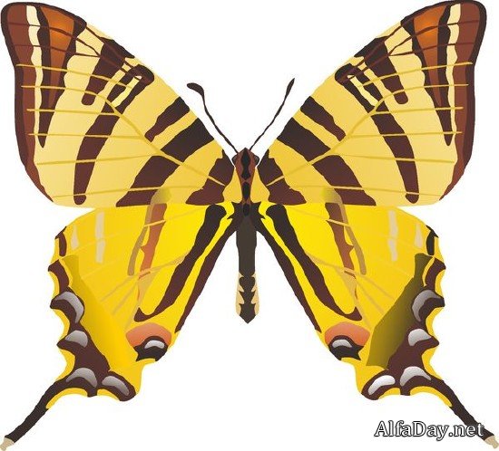 �������� ������� � �������� (�������� ��������� ���������)