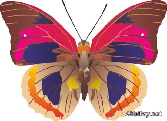 �������� ������� � �������� (�������� ��������� ���������)