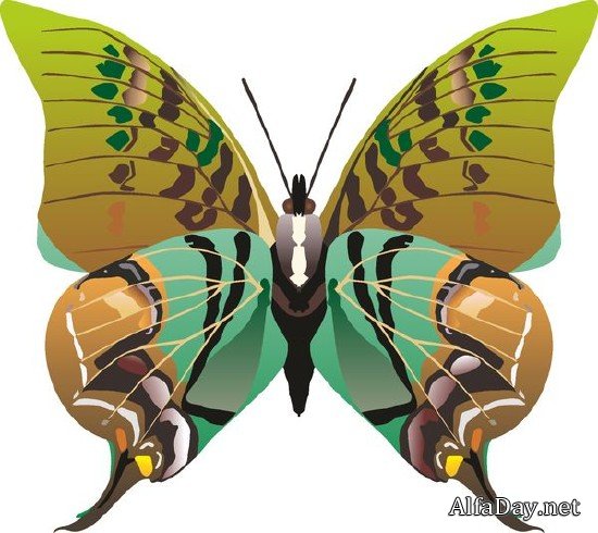 �������� ������� � �������� (�������� ��������� ���������)