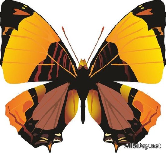 �������� ������� � �������� (�������� ��������� ���������)