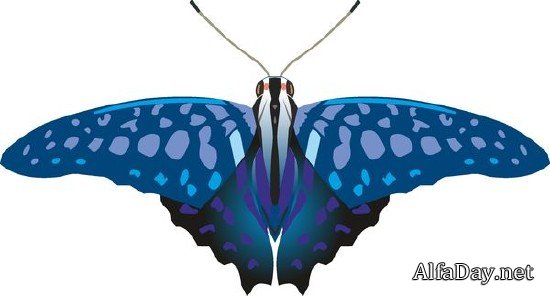 �������� ������� � �������� (�������� ��������� ���������)