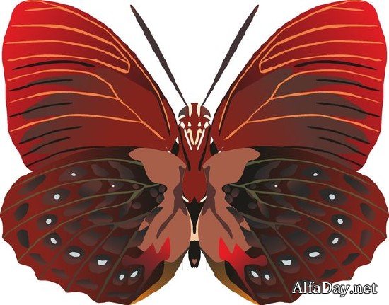 �������� ������� � �������� (�������� ��������� ���������)