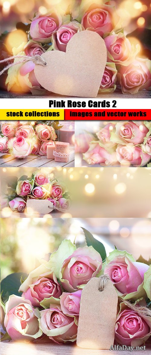 Pink Rose Cards 2