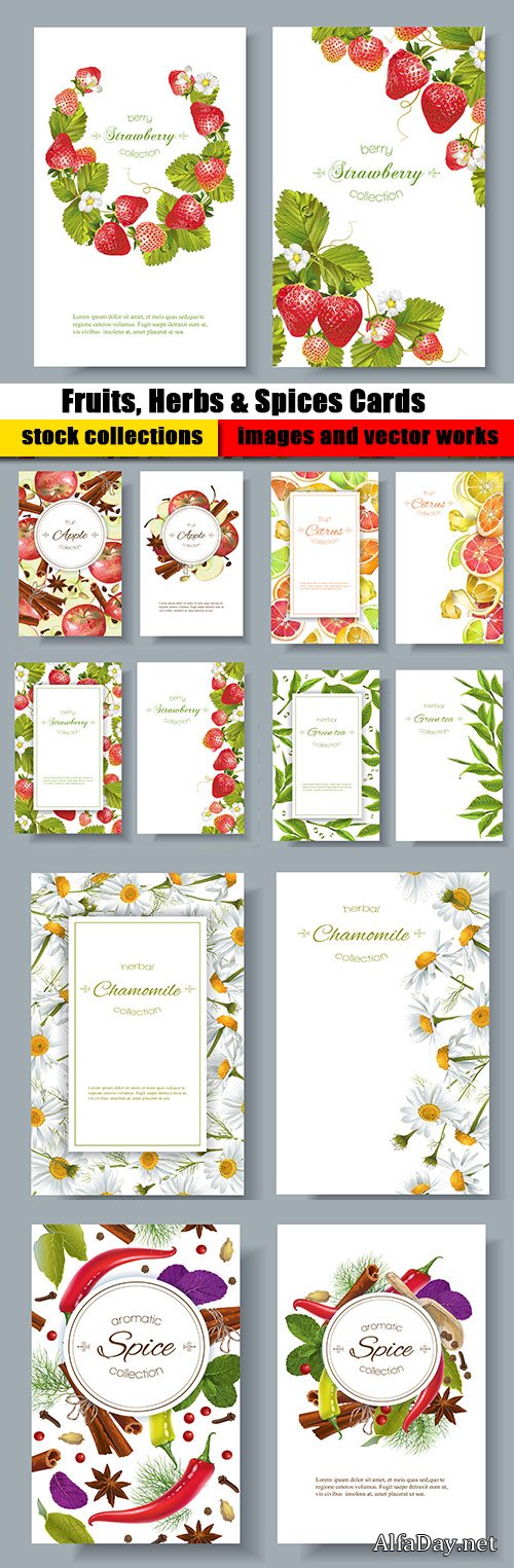 Fruits, Herbs & Spices Cards Vector