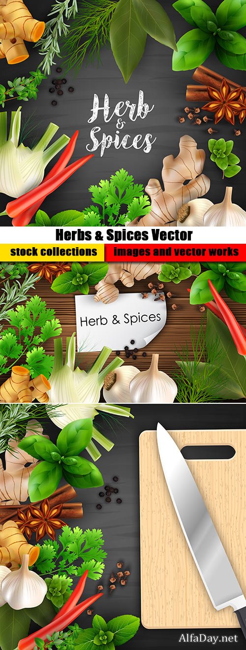Herbs & Spices Vector