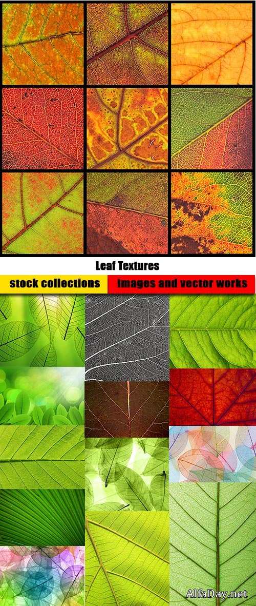 Leaf Textures