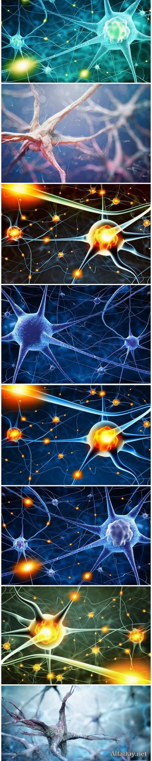 Active nerve cells - Set of 8xUHQ JPEG Professional Stock Images