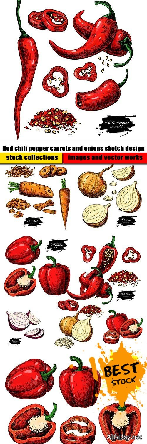 Red chili pepper carrots and onions sketch design