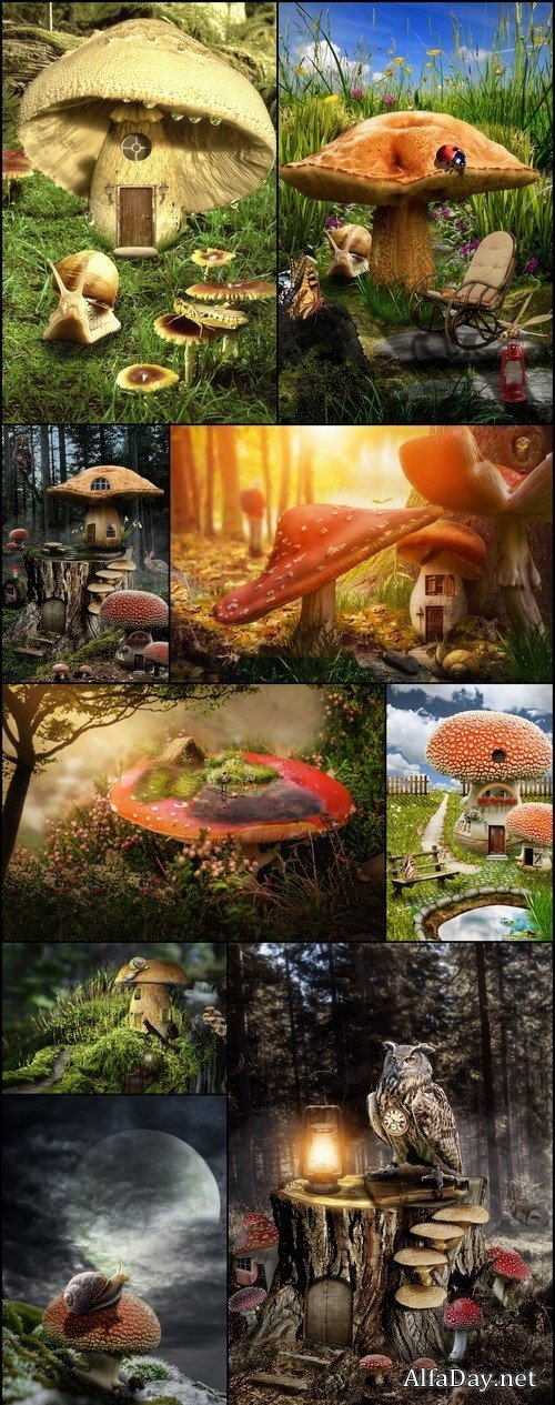 ��������� ������ ����� / Mushroom fairy house 9X JPEG