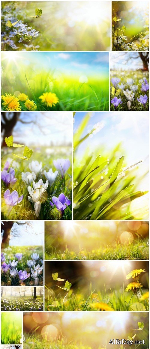 Easter spring flower background, yellow butterfly 13X JPEG