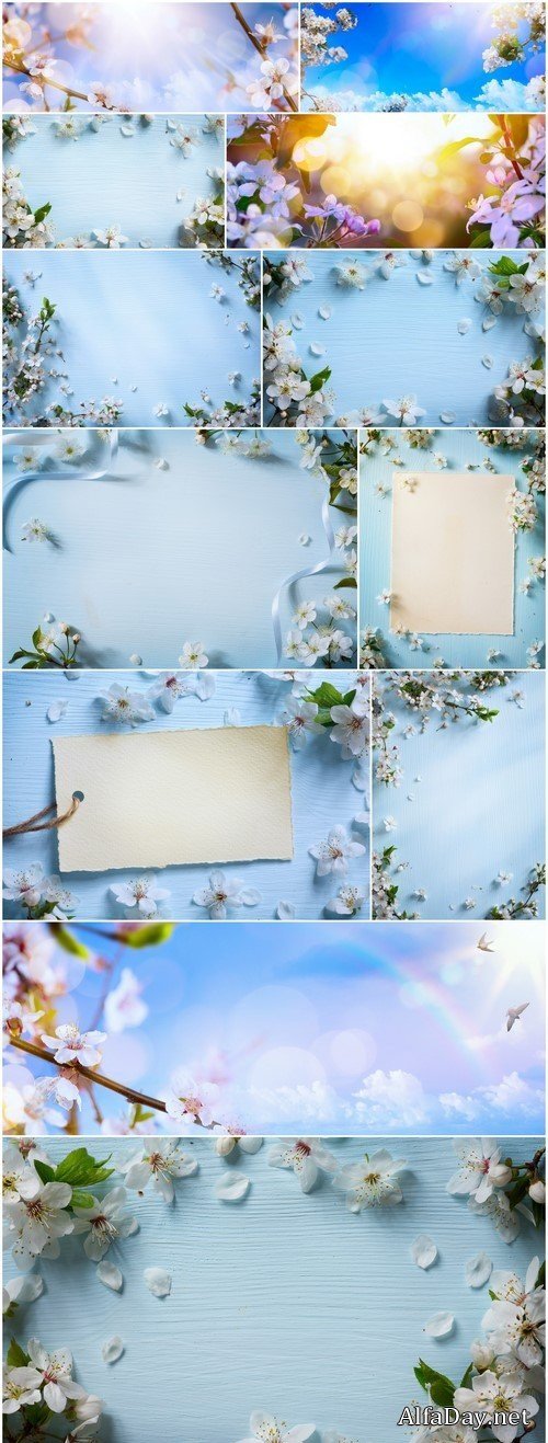 Spring flower background 12X JPEG