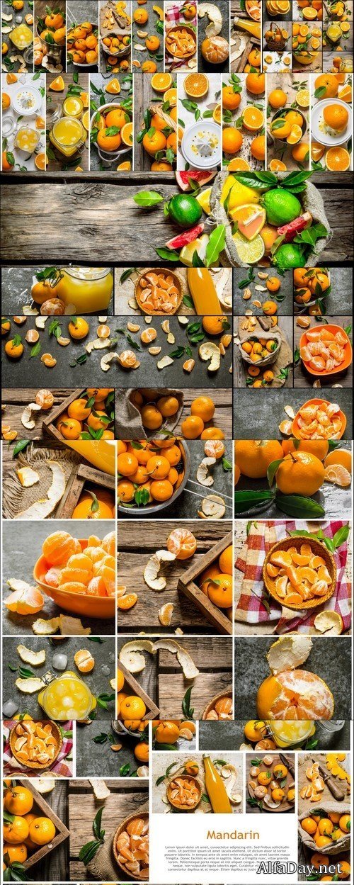 Food collage of fresh oranges and mandarin #8 7X JPEG