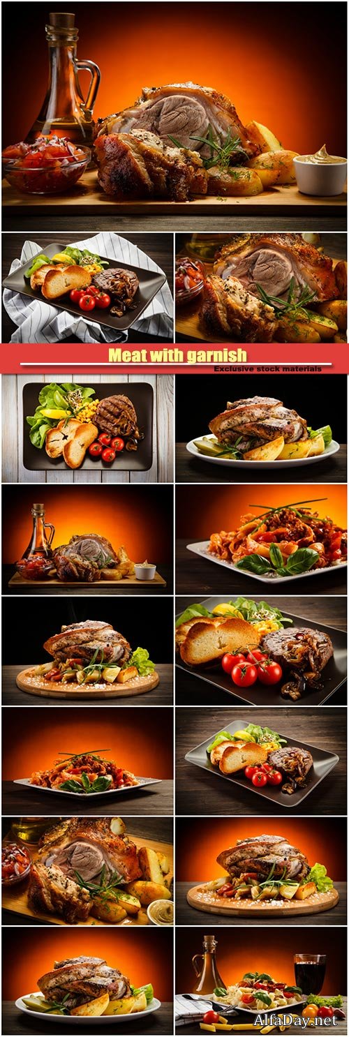 Meat with garnish