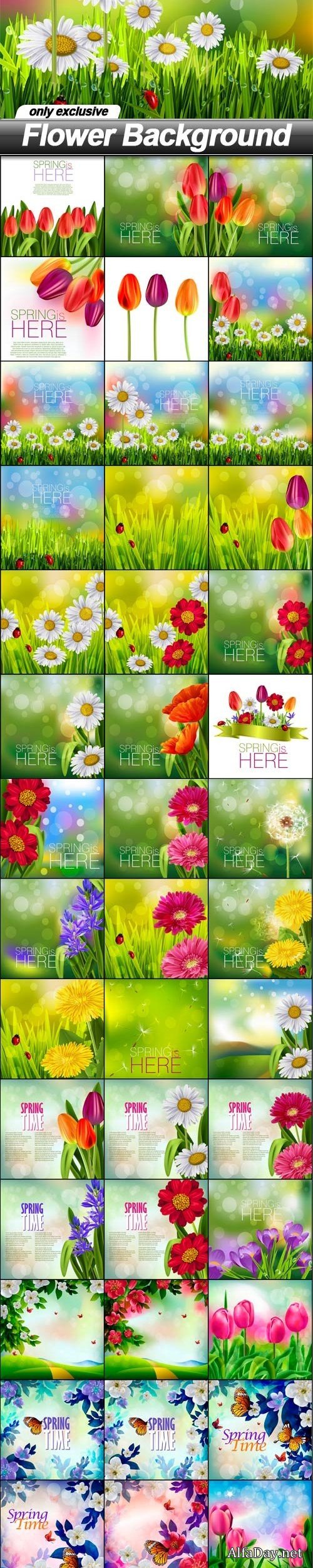 Flower Background - 48 EPS