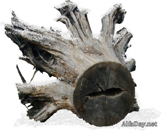 ������, ����, ����� - ������� �� ���������� ����