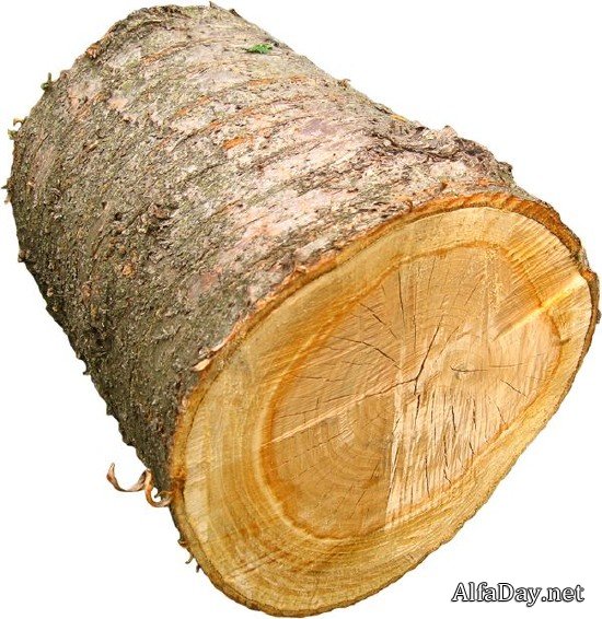 ������, ����, ����� - ������� �� ���������� ����