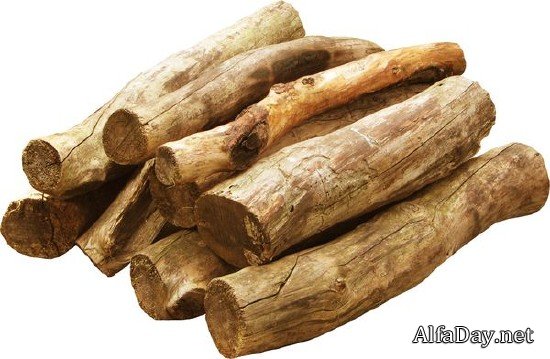 ������, ����, ����� - ������� �� ���������� ����