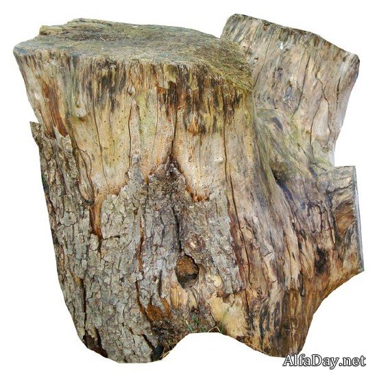 ������, ����, ����� - ������� �� ���������� ����