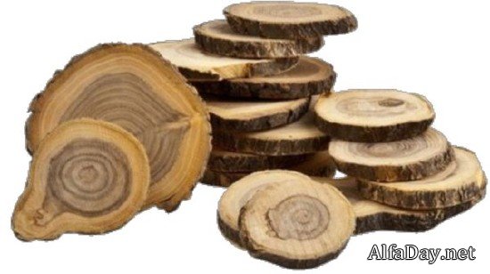 ������, ����, ����� - ������� �� ���������� ����