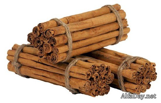 ������, ����, ����� - ������� �� ���������� ����