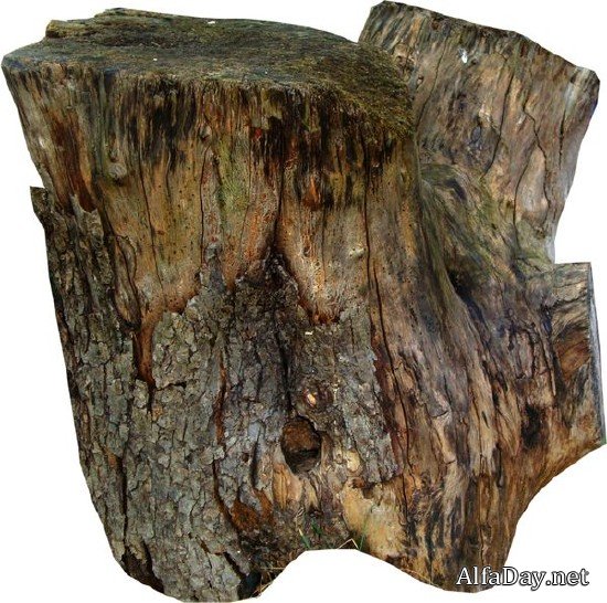 ������, ����, ����� - ������� �� ���������� ����