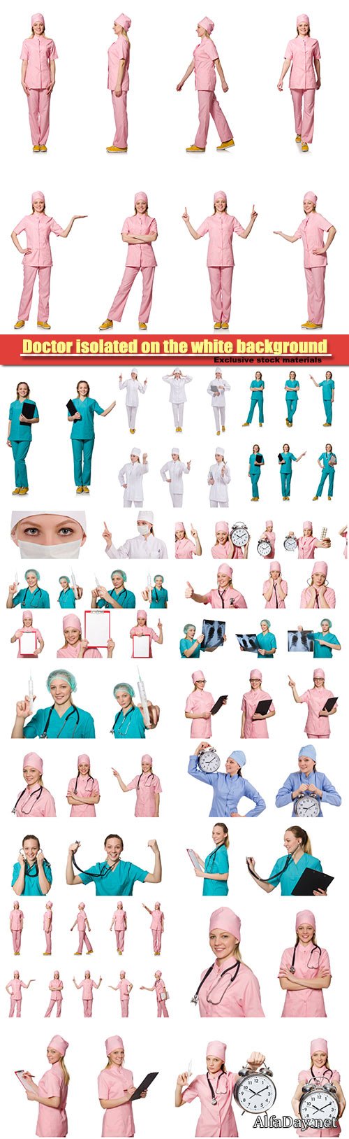 Doctor isolated on the white background