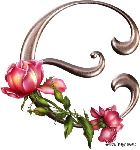 ������� - ����� � ������ �� ���������� ����