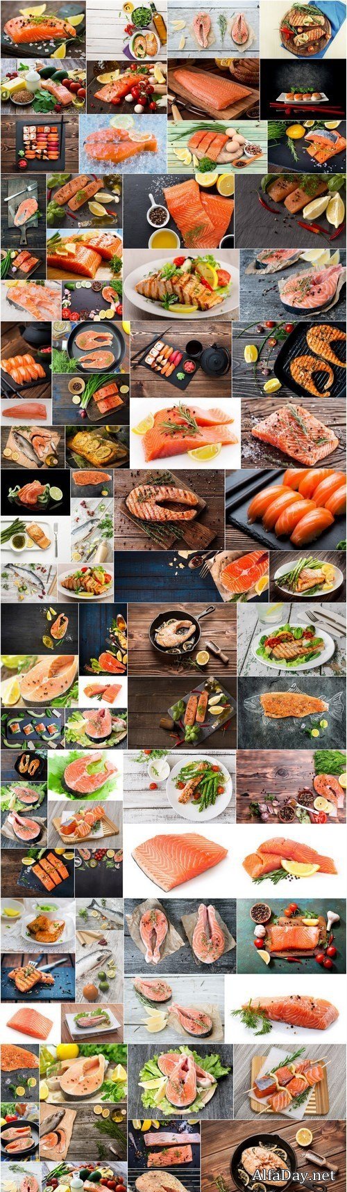 Raw salmon filet, stake and sushi - 83xUHQ JPEG