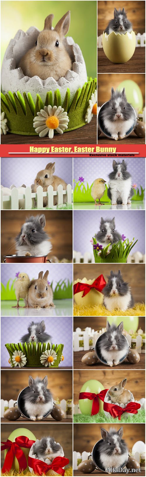 Happy Easter, Easter Bunny