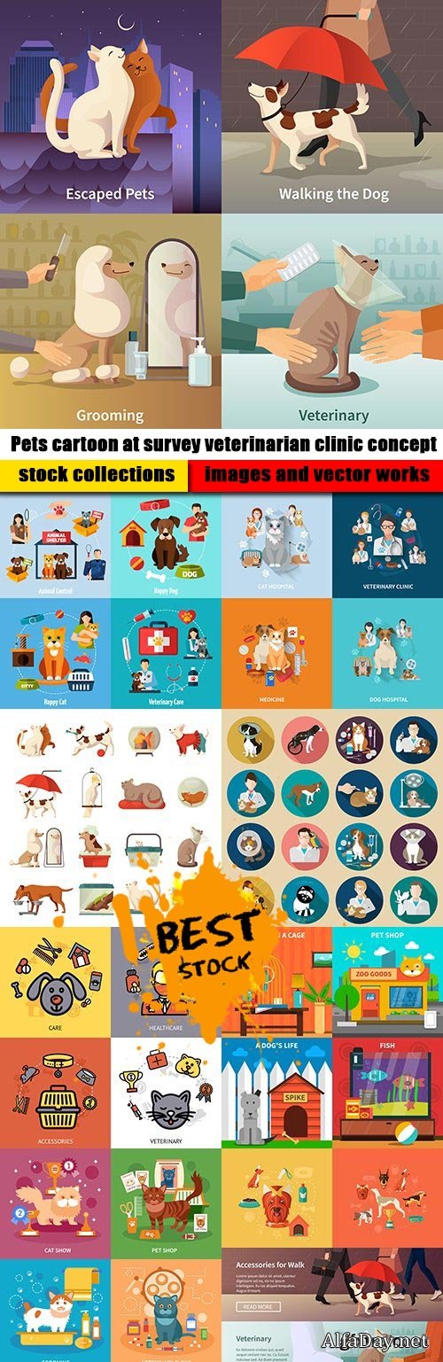 Pets cartoon at survey veterinarian clinic concept