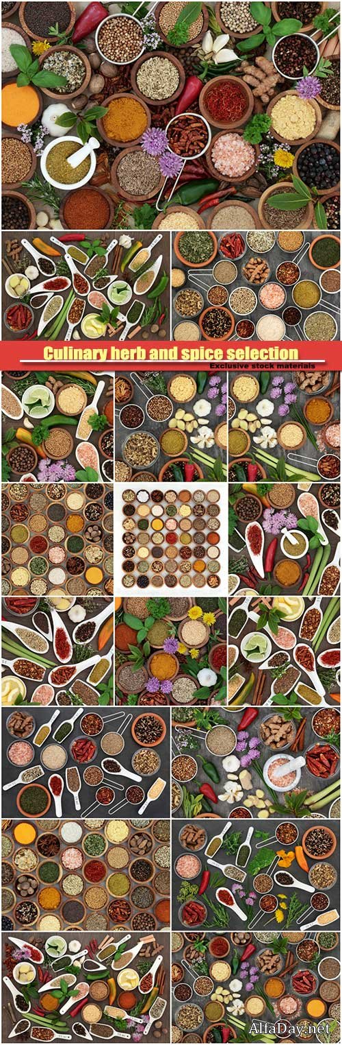 Culinary herb and spice selection