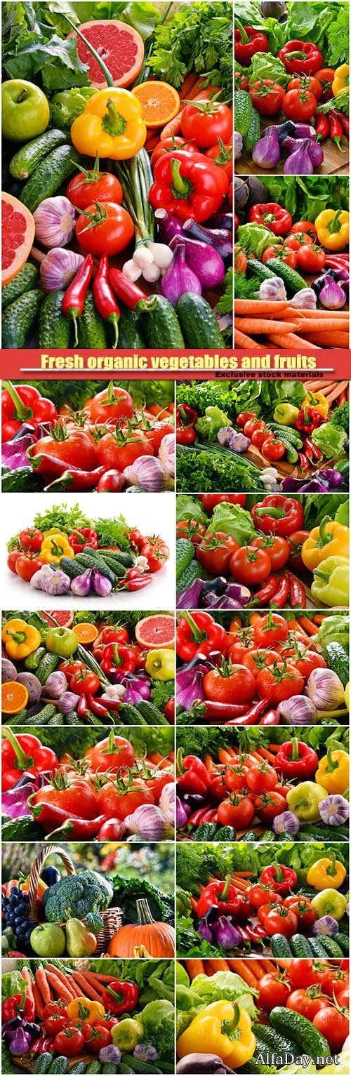 Composition with fresh organic vegetables and fruits