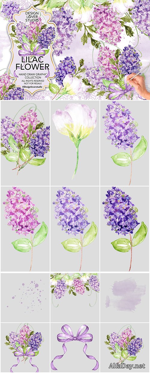 Watercolor LILAC design