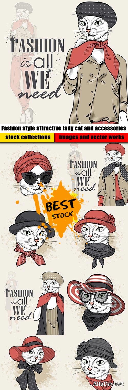 Fashion style attractive lady cat and accessories