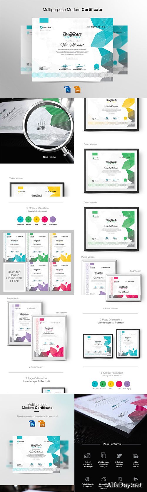 Certificate | Multipurpose Diploma Certificate