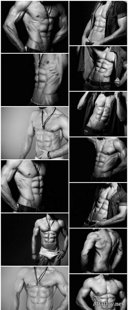 Muscular and sexy torso of young man - 13xUHQ JPEG Photo Stock