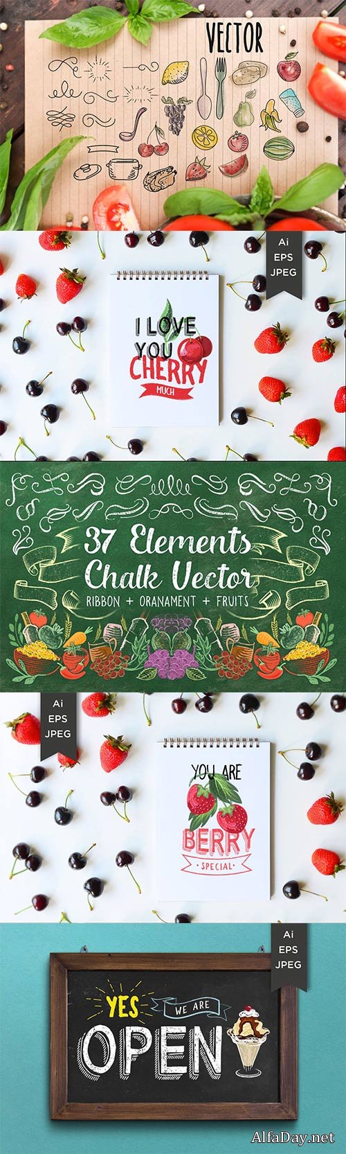 Drawing vector decorative ribbons, banners, vegetables and fruits