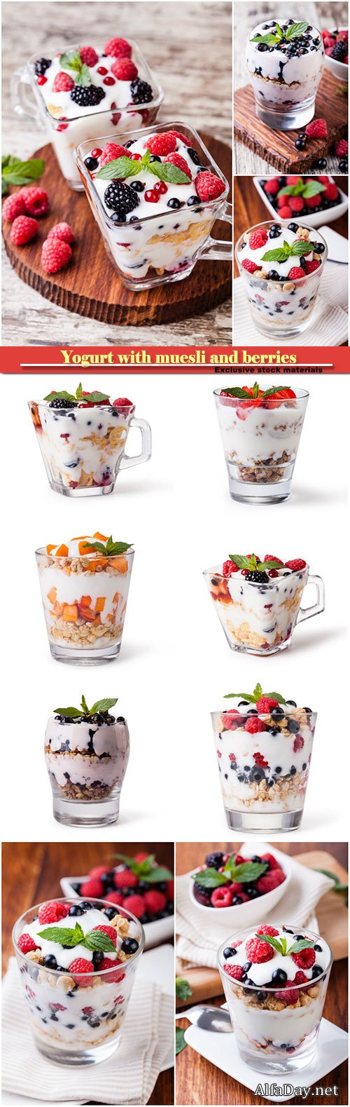 Yogurt with muesli and berries #2