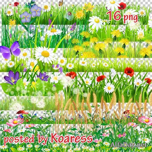 Png ������� �� ���������� ���� - ��������� ���, ������ (����� 2)