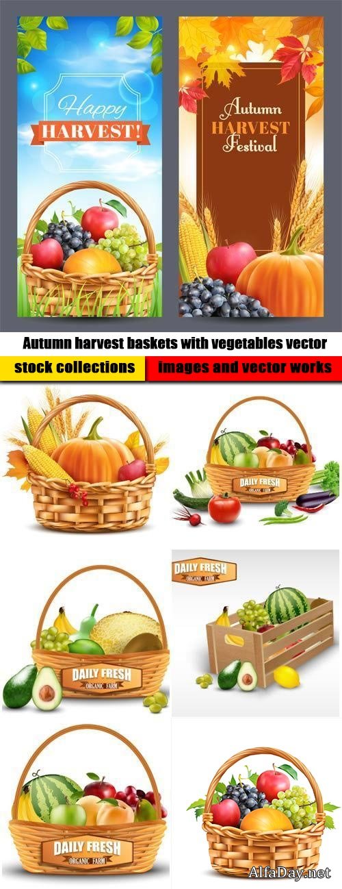 Autumn harvest baskets with vegetables vector