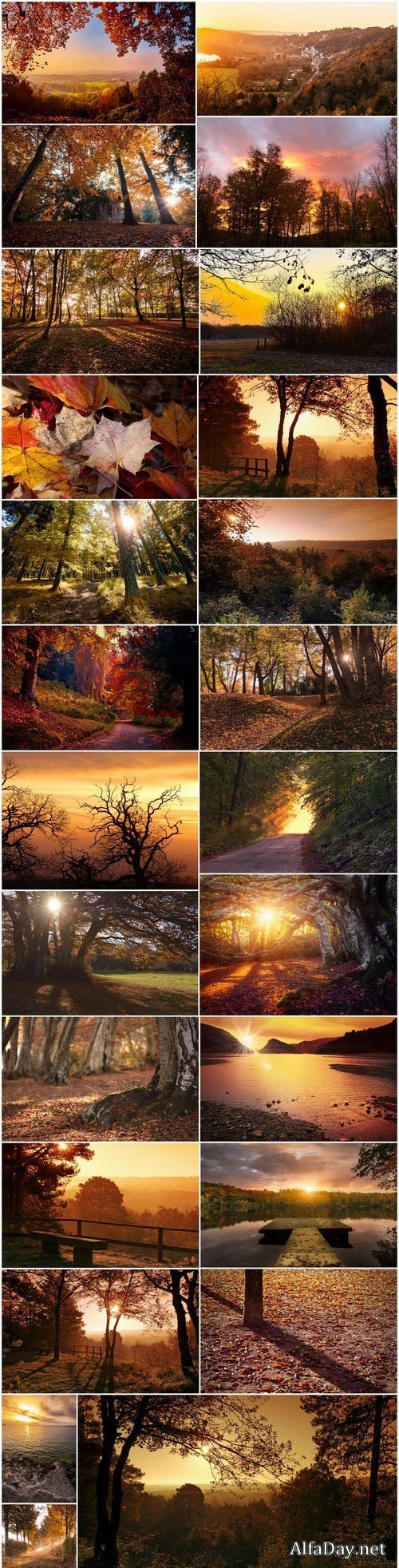Beautiful autumn forest and landscape 2 - 25xUHQ JPEG Photo Stock
