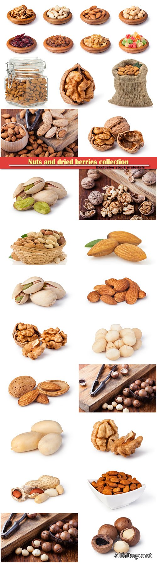 Nuts and dried berries collection