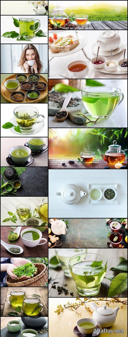 Green Tea - 20 HQ Images