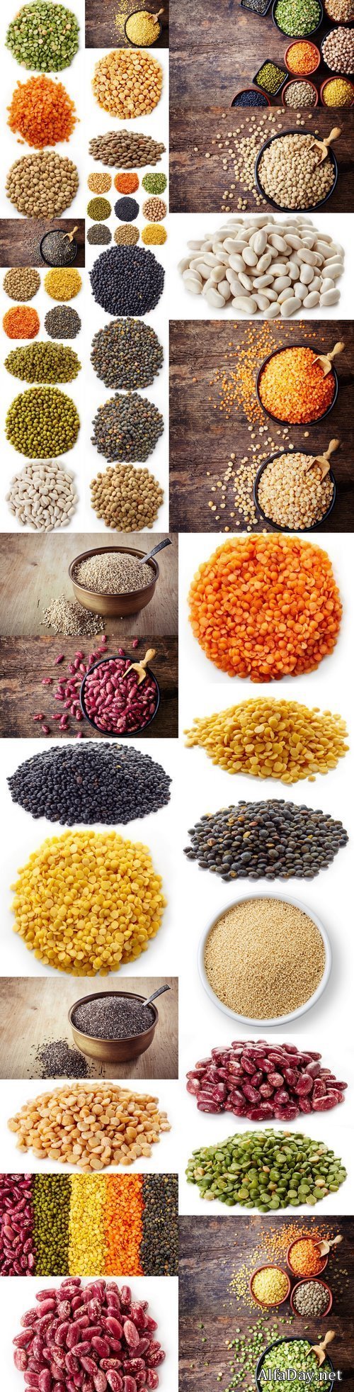 Legumes