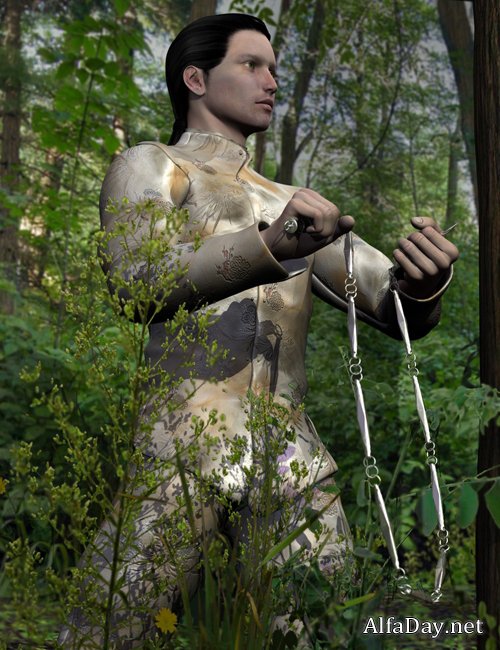 Martial Arts Chain Weapons