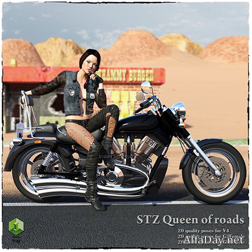 STZ Queen of roads