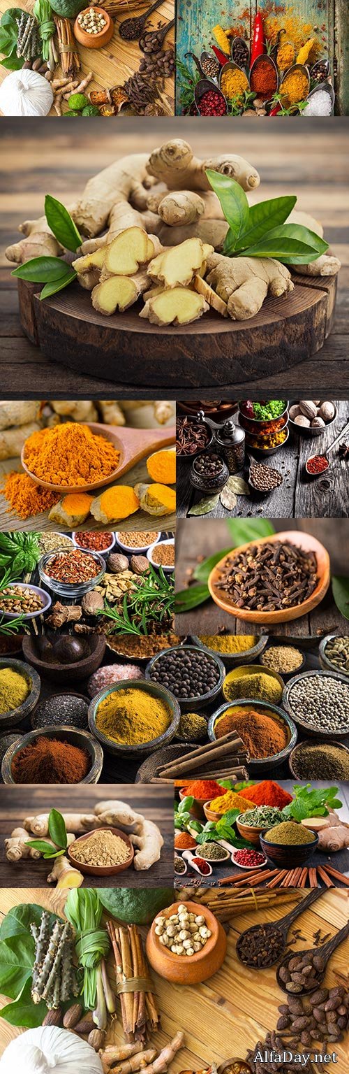 Fragrant spices seasoning and green herbs in wooden cups