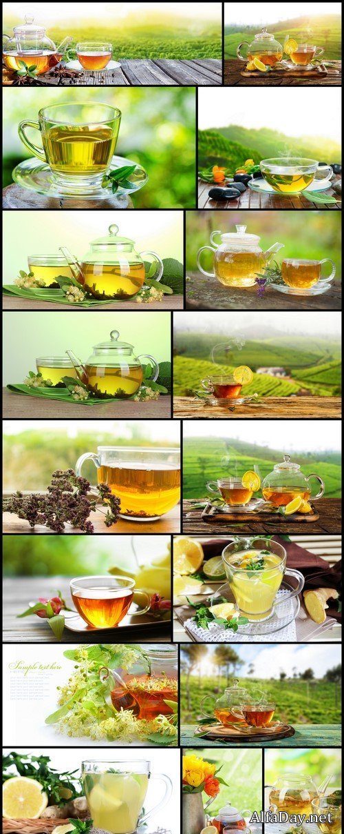 Cup of tea with ginger and teapot with linden tea 17X JPEG